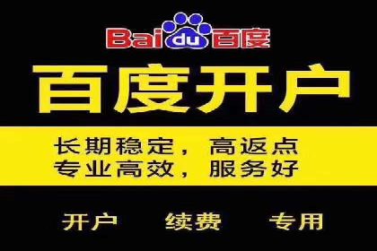百度推广公司案例研究：打造差异化竞争优势，脱颖而出